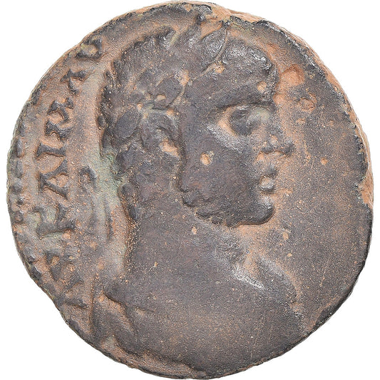 Κέρμα, 
  
  Φοινίκη, 
  
  Elagabalus