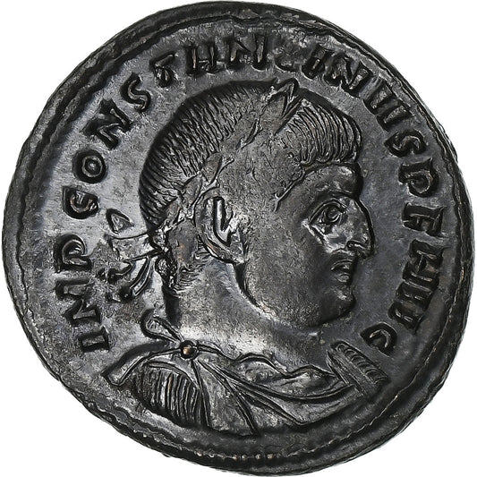 Κωνσταντίνος Α', 
  
  Follis, 
  
  313