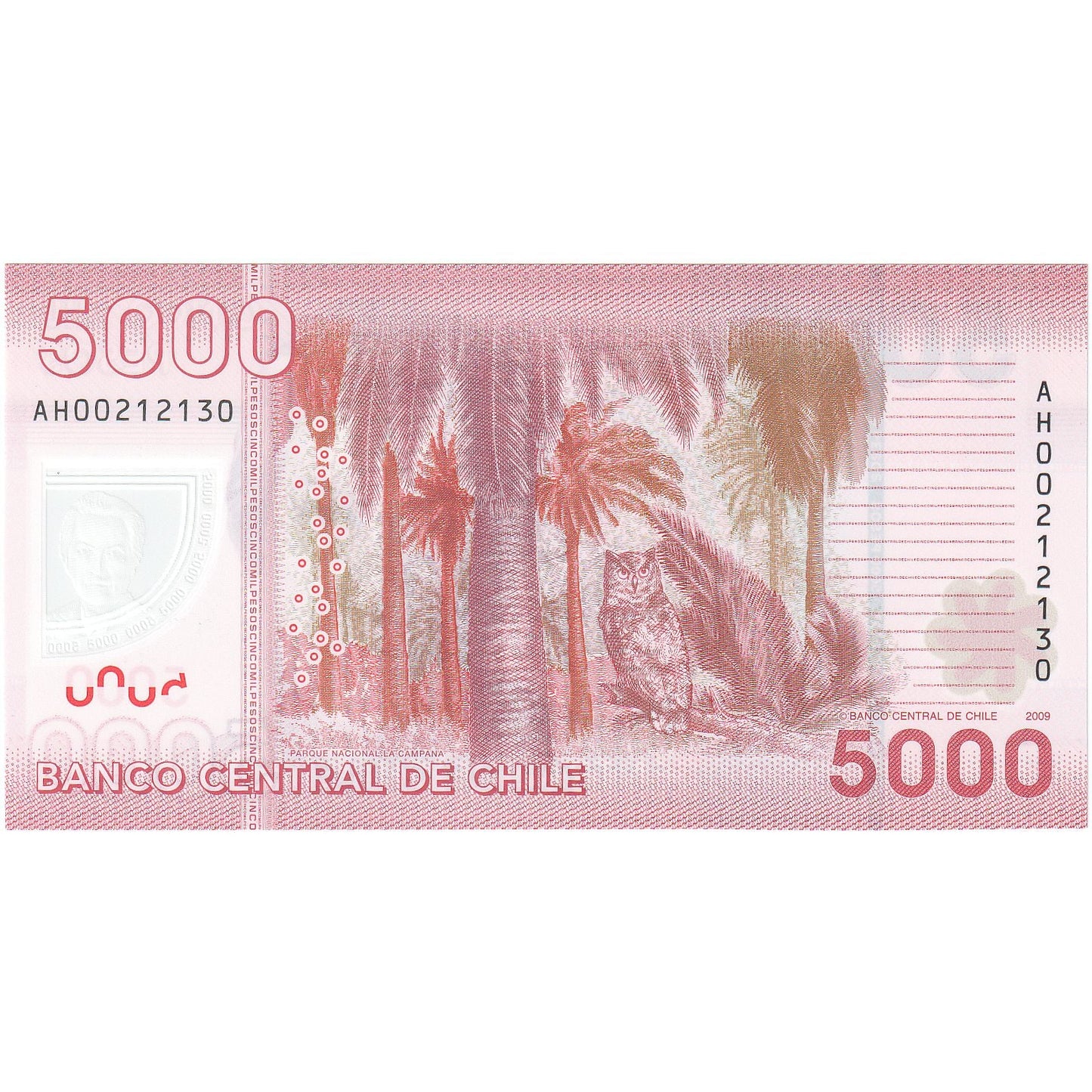 Χιλή, 
  
  5000 πέσο, 
  
  2009