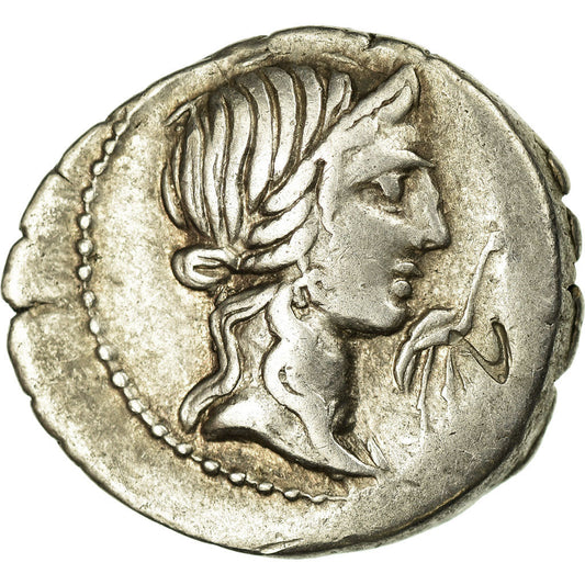 Caecilia, 
  
  Δηνάριο, 
  
  81 π.Χ