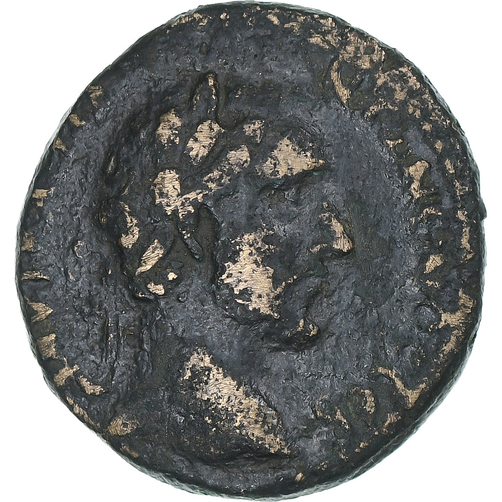 Φοινίκη, 
  
  Antoninus Pius, 
  
  Æ